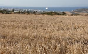 Παραδοσιακός Φούρνος της Αγκαιριάς  photo 9